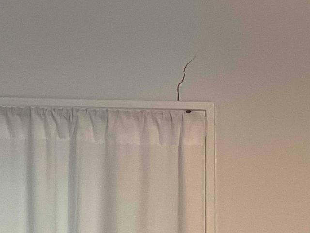 Cracking Above Door Showing Signs of Settlement