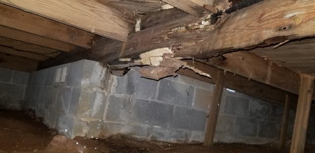 Before Wood Joist Repair