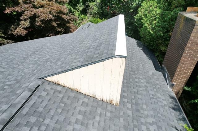 Repaired moss and water damage