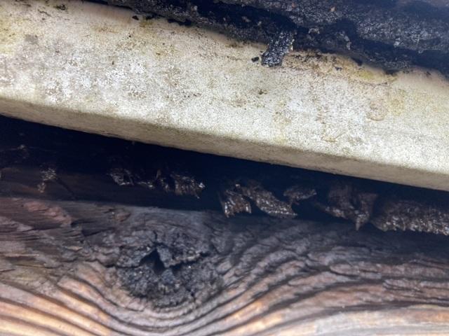 Rotten and water damaged sheathing layer