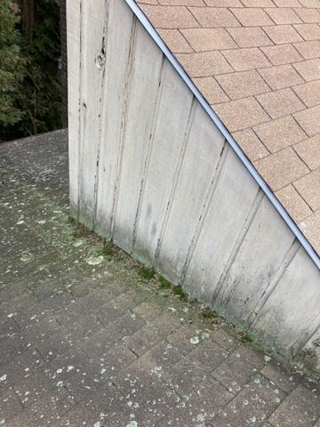 Moss build up and water damage
