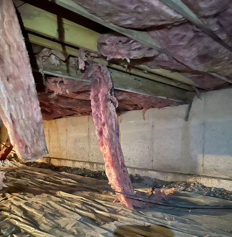 Crawl Space Insulation Removal