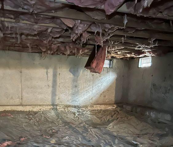 Crawl Space Air Quality Improvement