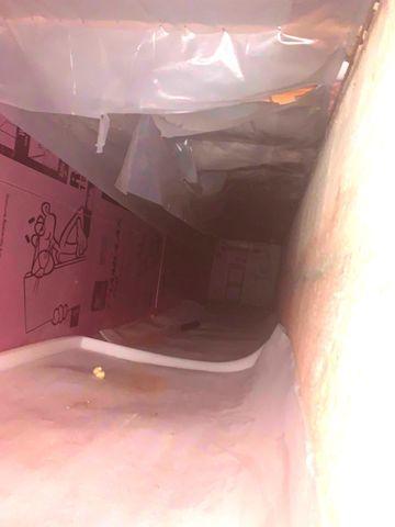 Crawl Space Insulation Needed