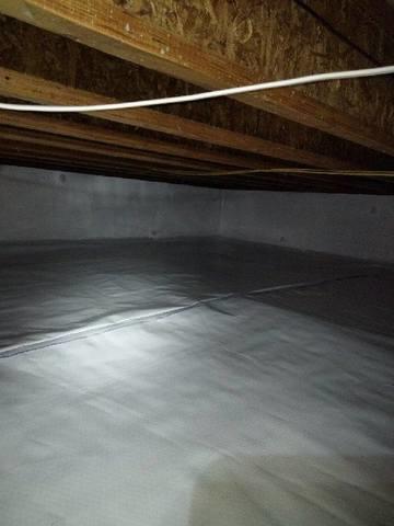 CleanSpace