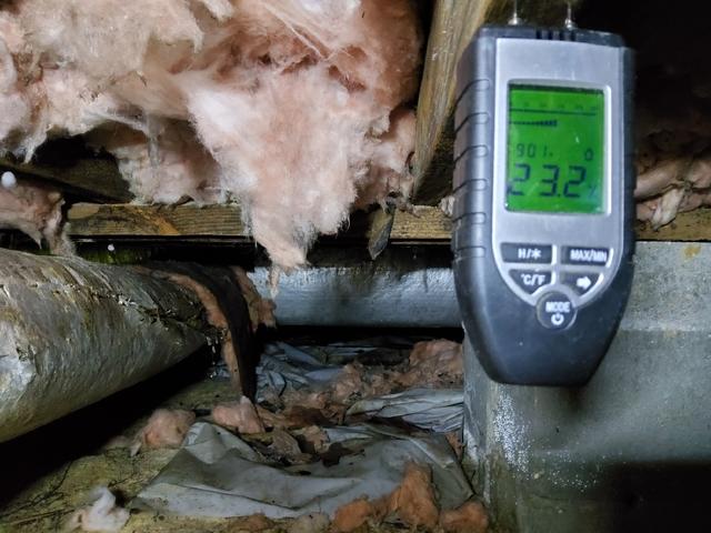 Wood Moisture Measurement at 23.2%