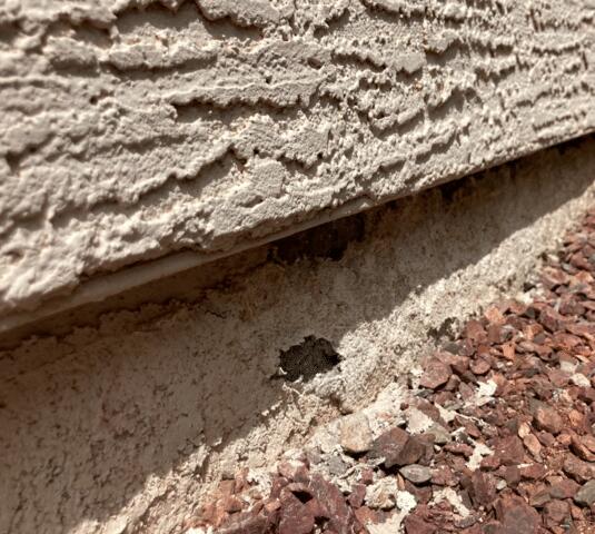 How can we know a concrete stem wall is failing? - Part 1