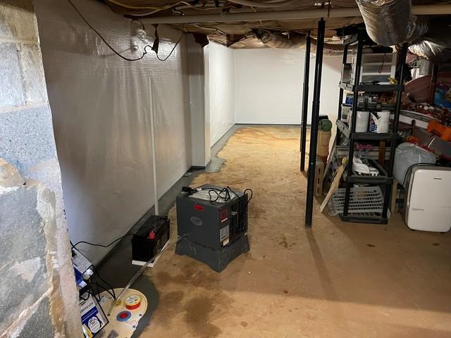 Sump Pump and Dehumidifier