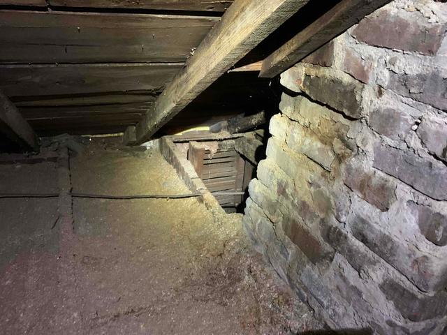 Before - Attic Insulation