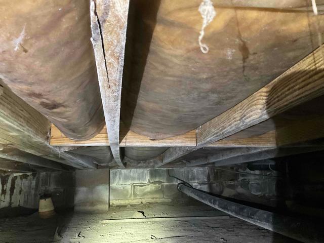 Curvy Joists: Wood Rot Caused by Severe Moisture
