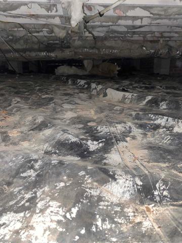 Crawl Space Before Encapsulation