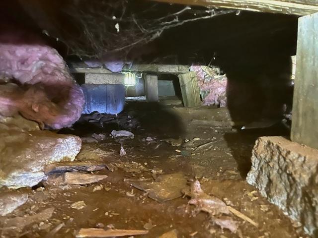 Crawl Space Damage