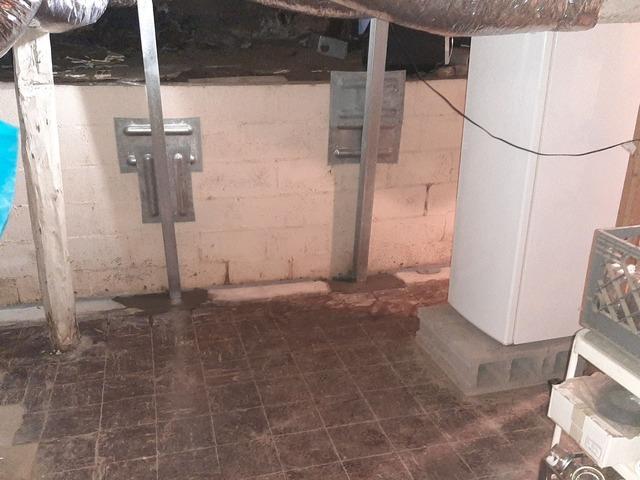 Wall Repair