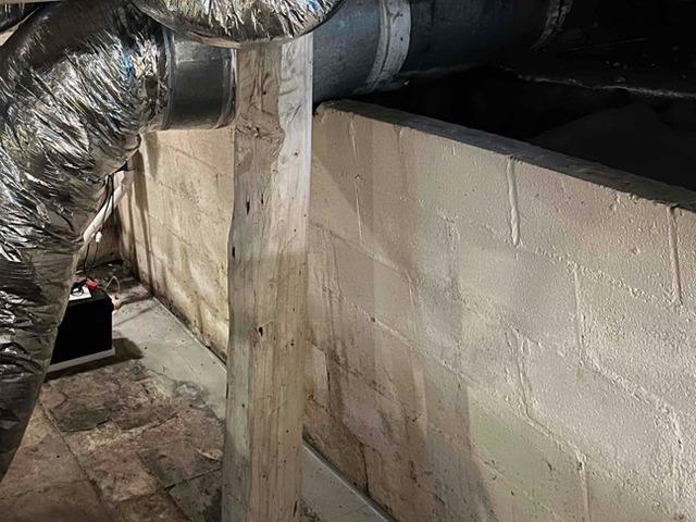 Wall Repair