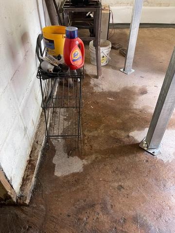 Damp Basement