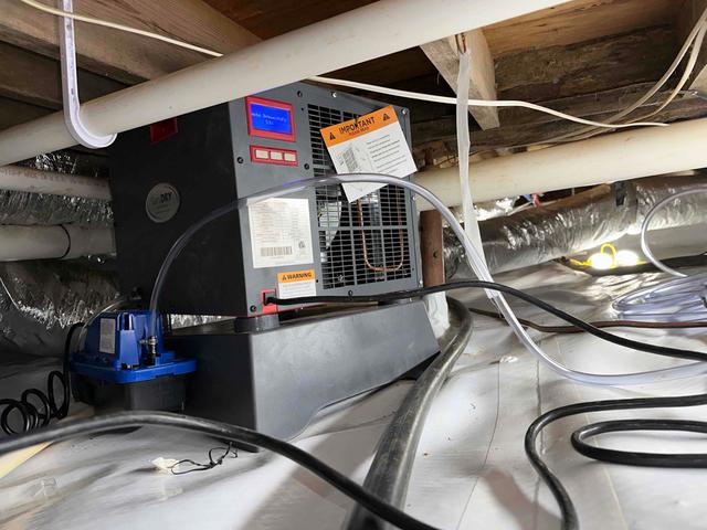 Dehumidifier and Air Purifier