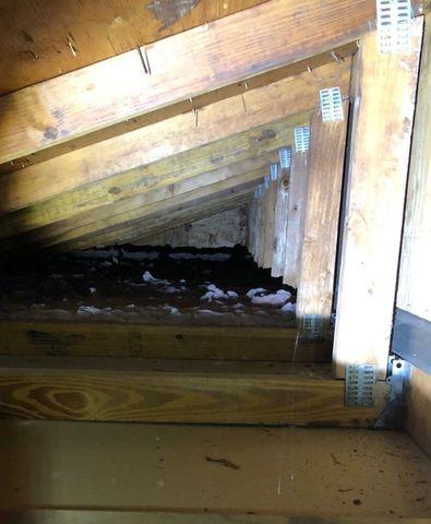 Attic Insulation Needed
