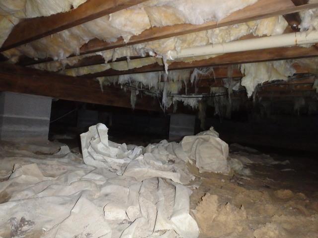 Vented Crawl Spaces are a Mess!