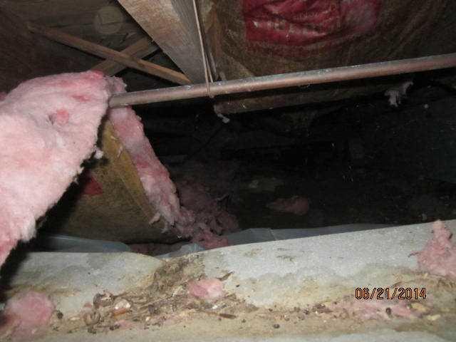 Fiberglass insulation is often the first choice for insulation. However, water and water vapor can collect inside it and cause it to grow heavy and fall. Wet insulation can actually become a food source for mold and rot--which will also grow on any other organic material in your crawl space--including your wood framing.