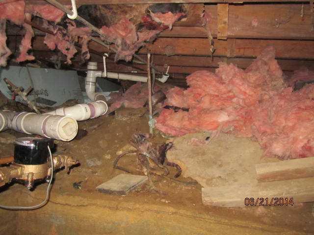 Commonly located under the home, crawl spaces are usually very humid and damp areas of the home because of their location. As humidity builds in your crawl space, all organic material in your crawl space will be damaged -- including wooden floorboards and structural support beams. Fiberglass insulation can fall as well.