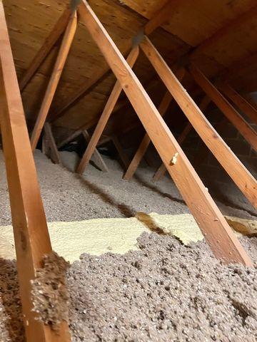 Insulation Service Options