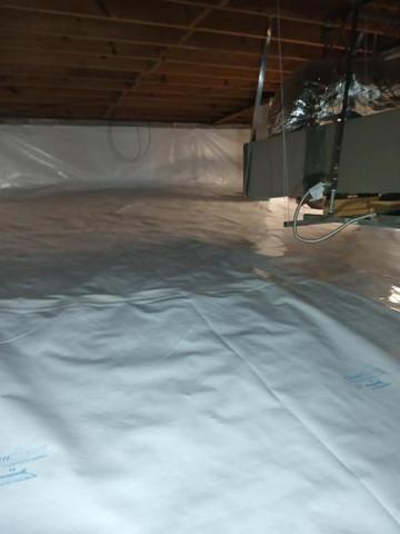 CleanSpace Liner