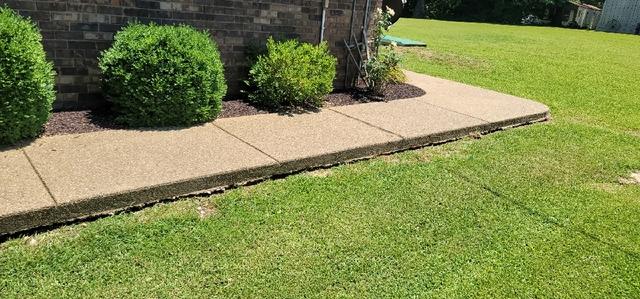 Sidewalk voids due to erosion, poor drainage and ground settling