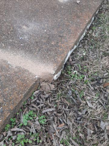 Poly Level 400 after sidewalk lift.