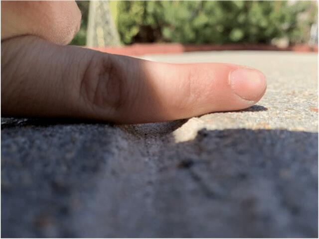 Ant's-Eye-View After