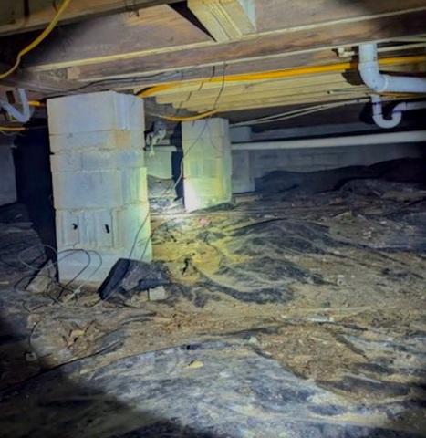 Damp and Moldy Crawl Space