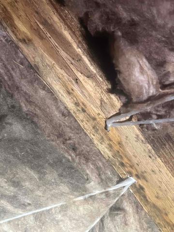 Why We Don't Use Fiberglass