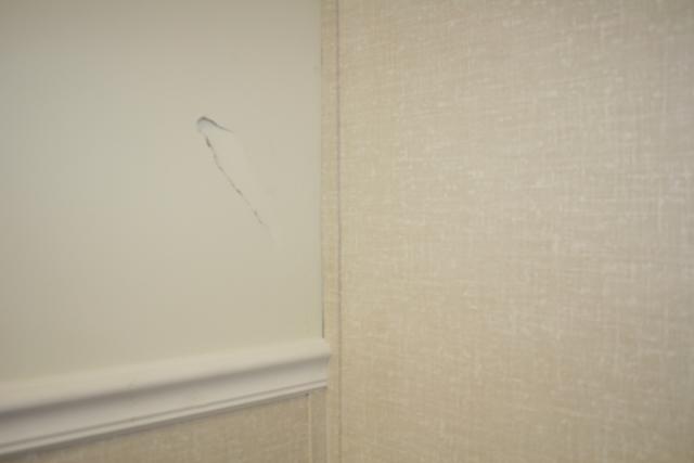 Drywall vs. Everlast Walls