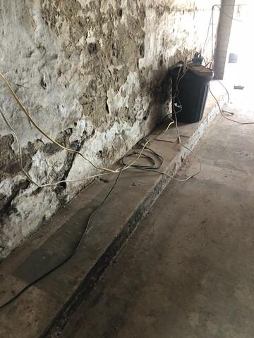 Damp Basement Before