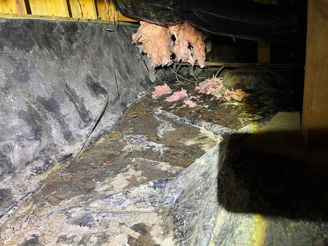 Crawlspace in disrepair