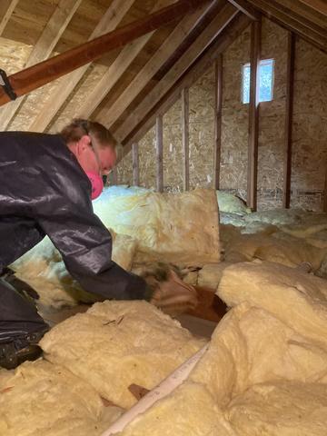 Removing the Old insulation