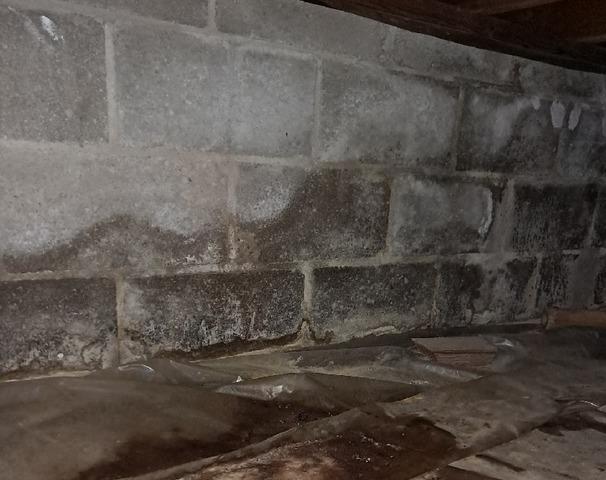 Crawlspace Issues