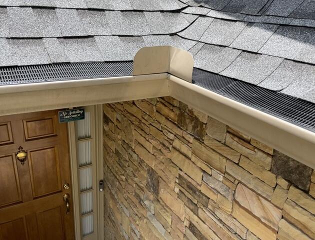 RainDrop Pro Gutter Guard in Sandy Springs, GA