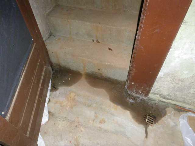 Wet Entranceway