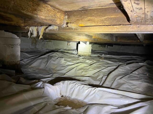 Damp Crawl Space