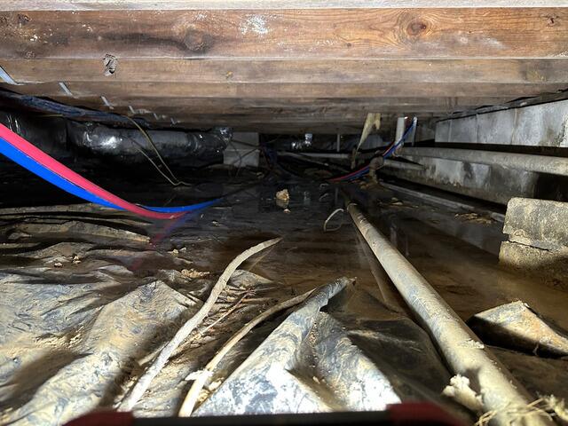 A crawlspace full of mud and traces of mold grow