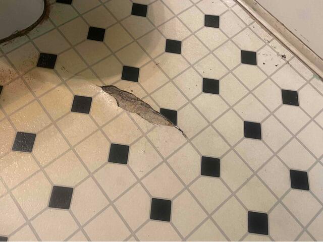 Crack in Master Bathroom Floor