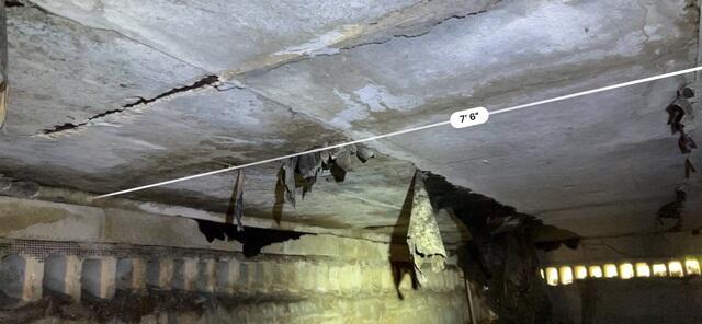 Exposure to Moisture in Crawlspace