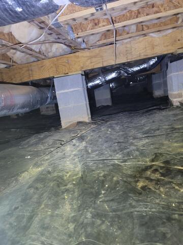 Damp and Dark Crawl Space