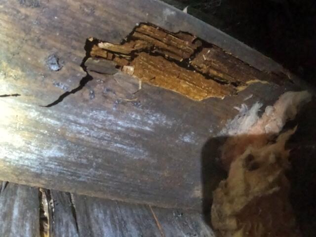 Damage from Moisture