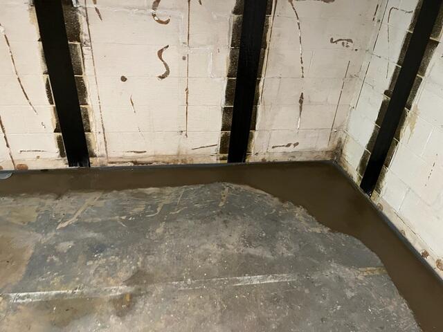 CarbonArmor Straps & WaterGuard