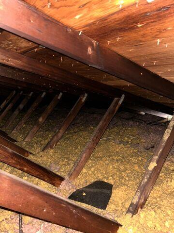 Old Insulation Removal