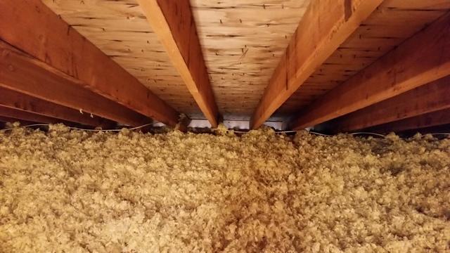 Blown-in Insulation