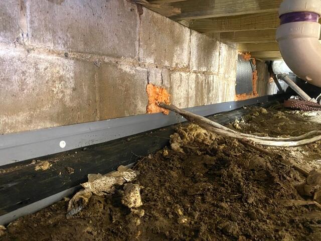 Crawl space Drainage System