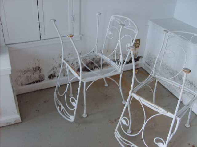 Wet, Moldy Drywall