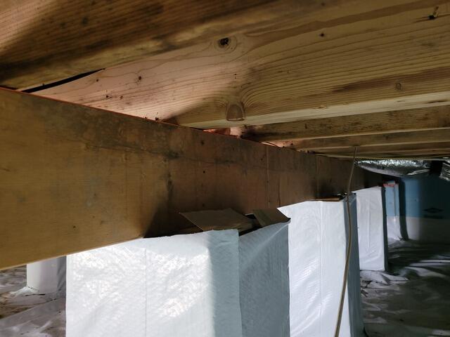 mold 2
